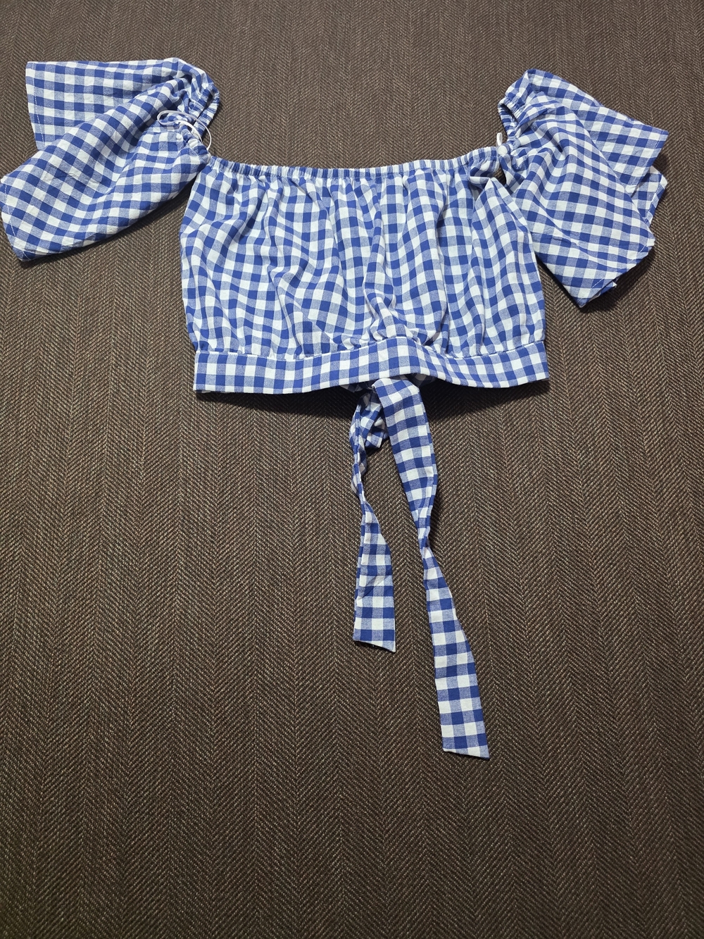 The Impeccable Pig Blue and White Gingham Crop Top